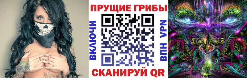 Псилоцибиновые грибы Psilocybine cubensis  Новокузнецк 