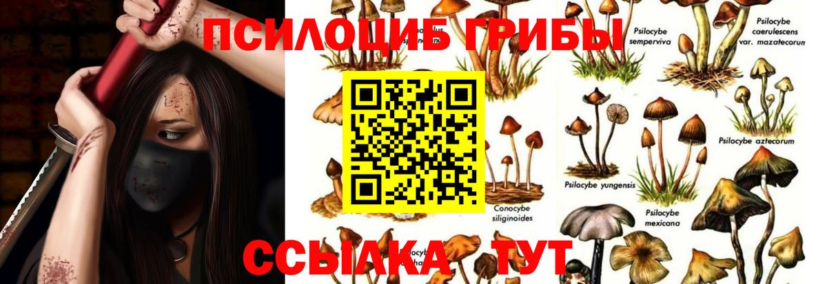 Новокузнецк  даркнет сайт  Вход с VPN  Галлюциногенные грибы прущие грибы 